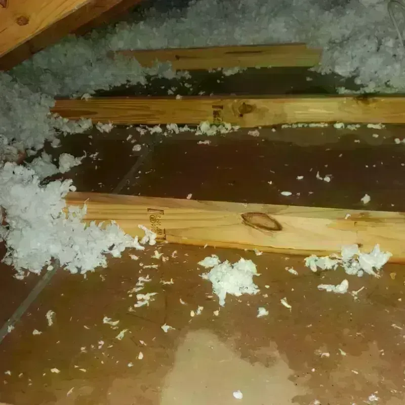 Attic Water Damage in Levelland, TX